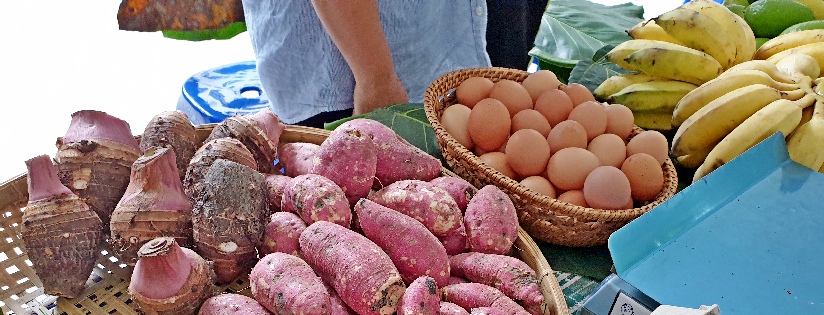 從理念到行動～慈大小市集環保消費愛地球。(20200925)